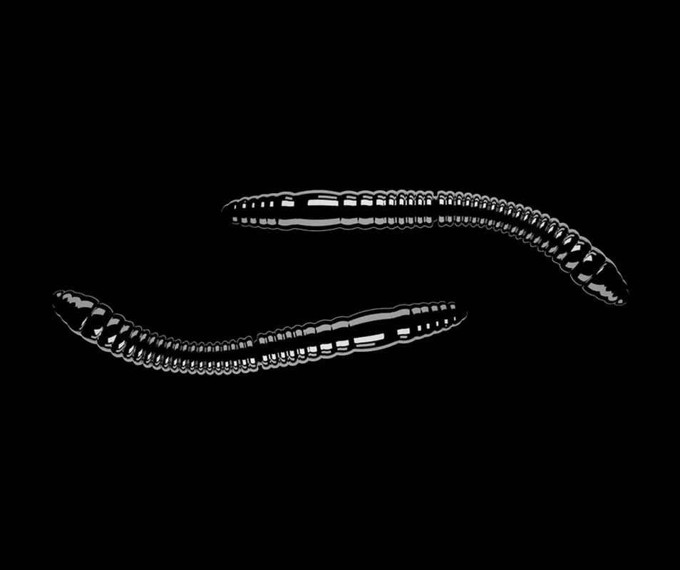 2026_07_10_2443866